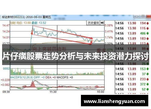 片仔癀股票走势分析与未来投资潜力探讨