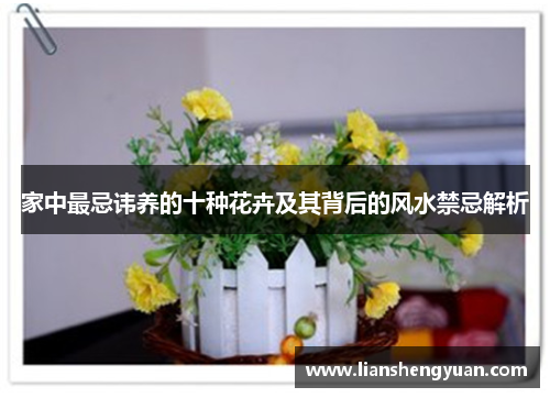 家中最忌讳养的十种花卉及其背后的风水禁忌解析