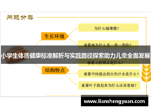 小学生体质健康标准解析与实践路径探索助力儿童全面发展