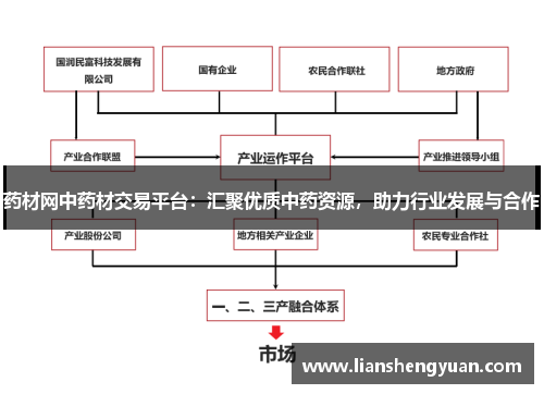 药材网中药材交易平台：汇聚优质中药资源，助力行业发展与合作
